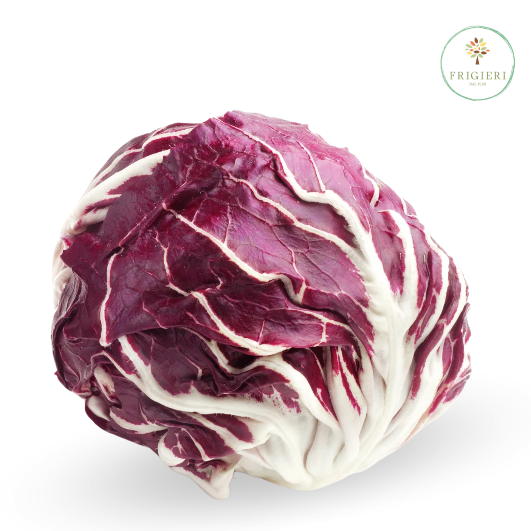 radicchio-chioggia