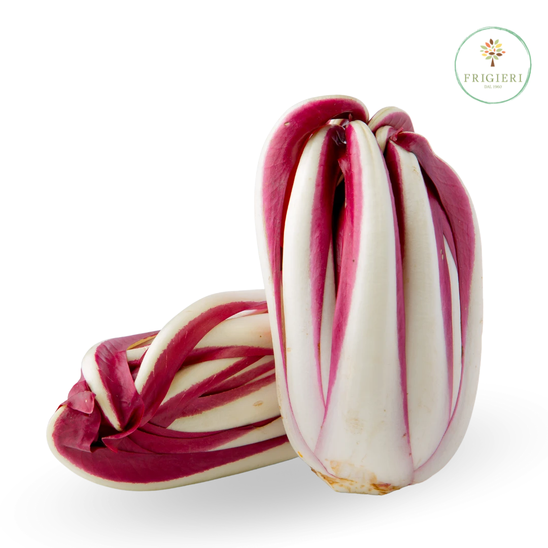 radicchio-treviso